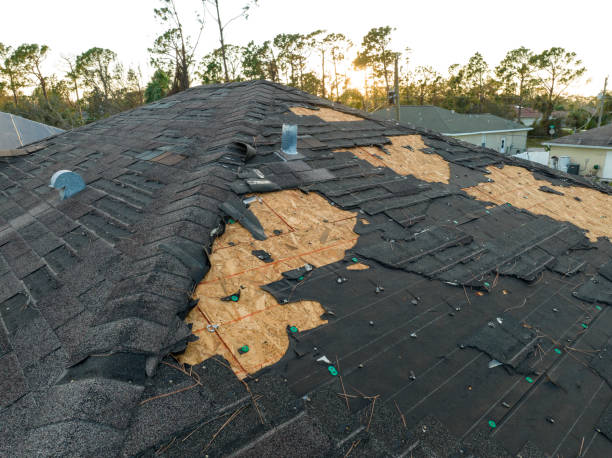 Best Gutter Installation and Repair  in Prospect, OH