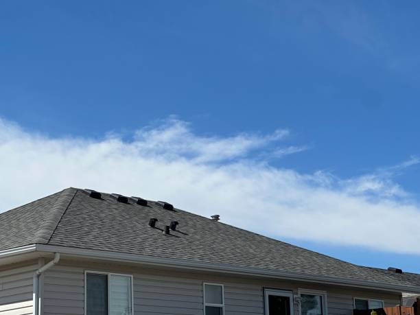 Best Roof Ventilation Installation  in Prospect, OH